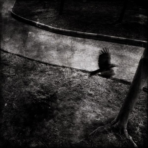 网络短信在线发送